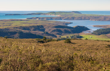Fototapeta premium View of the Coast at Point Reyes National Seashore