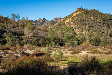 Field and Mountains at Pinnacles National Park