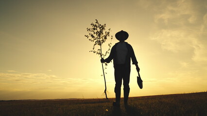 farmer goes plant tree sunset. gardener planting seedlings in the ground. Agriculture. farming...