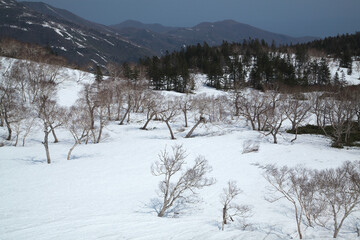 残雪の知床峠（羅臼町）世界自然遺産.