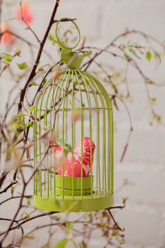 Easter fabric bird in a birdcage on a white brick wall