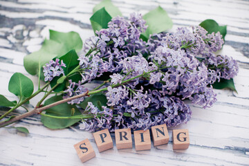 Lilac flowers and wooden cubes with the english words spring