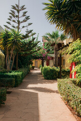 Tropical garden with palm trees and shrubs in a resort, Agia-Napa, Cyprus