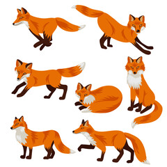 vector drawing foxes, hand drawn animals isolated at white background , cartoon style characters
