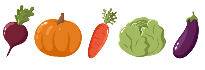 Set of bright colourful vegetables. Gardening and harvesting. Pumpkin, aubergine, carrot, cabbage, beat root. Vector illustration in cartoon style.