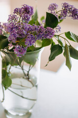 Bouquet of garden lilacs in a vase closeup.