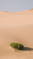 Sand dunes in the desert with a light on the top