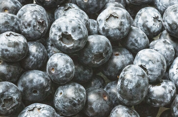close up of blueberries