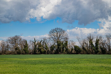 field and blue sky