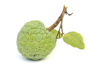 Custard apple isolated on white background, annona