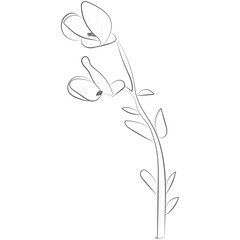 One Line Aesthetic Flower 01