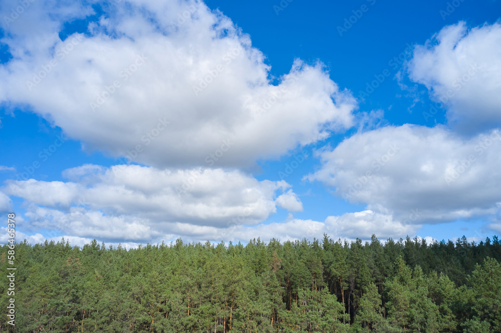 Wall mural Blue sky with clouds over the forest