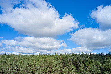 Blue sky with clouds over the forest