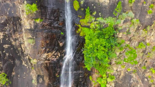 Waterfall among tropical jungle with green plants and trees. Bambarakanda Falls. Sri Lanka.