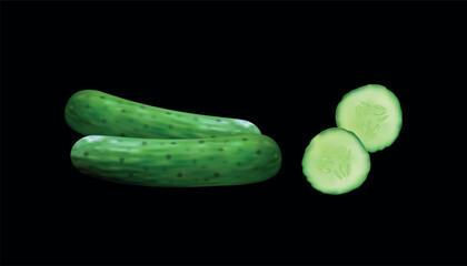 Green cucumbers vector illustration. Realistic raw cucmber with slices
