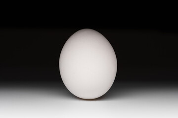 chicken egg close-up, the play of light and shadow
