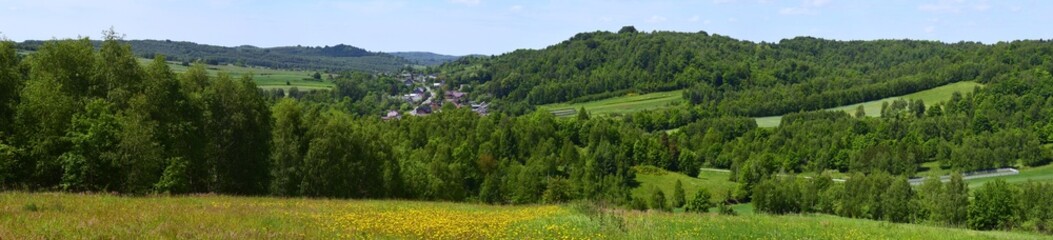 Góry Gorzkowskie. Jura Krakowsko-Częstochowska. Widok. Panorama.