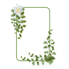 Rectangular flower arrangement. Green leaves and white flower isolated on white background.  Festive flower arrangement. Border of green branches. Floral frame. Copy space.