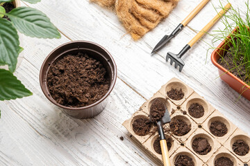 Garden Flat Lay. Planting flowers. No people. Working with Soil, Natural Small Pots. Fertility. Caring House Plants. Top View. Sowing Seeds in Germination Boxes. Growing Seedlings at Home in Spring
