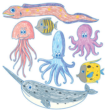 Set of marine creature