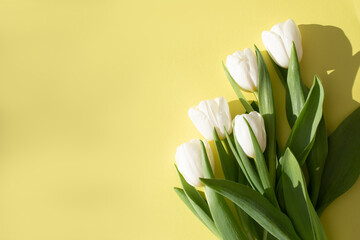 White tulips on the yellow background with shadow. Spring background with a bouquet of flowers with copy space. Top view