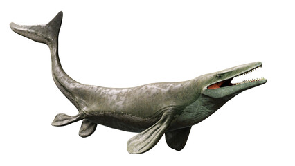 Mosasaurus, extinct marine reptile from the Late Cretaceous, isolated on transparent background