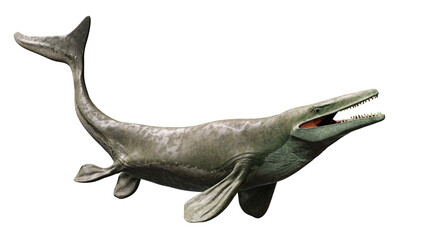 Mosasaurus, extinct marine reptile from the Late Cretaceous, isolated on transparent background © dottedyeti