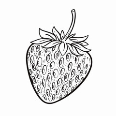Hand drawn black color strawberry logo sign vector art illustration.
