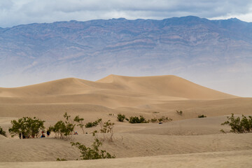 Fototapeta na wymiar sand dunes in the desert, death valley
