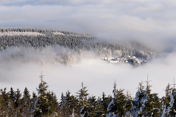 Winterlandschaft schneebedeckt Nebel oberwiesenthal