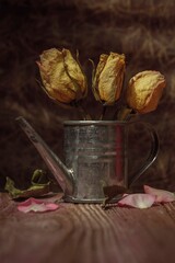 Still life of dried flowers - withered roses in a vase