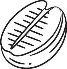 Coffee Bean Hand Drawn Illustration