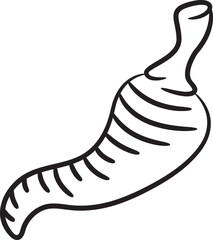 Paprika Hand Drawn Illustration