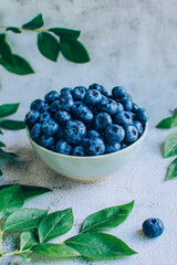 Ripe blueberry in  bowl with green leaves over gray table background copy space.