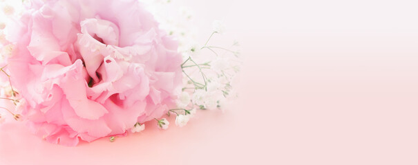 Close up image of delicate pink flowers over pastel background. Selective focus