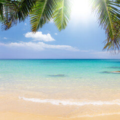 Obraz na płótnie Canvas Sunny vacation landscape of sea, palms and sky