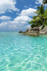 Tropical beach with palm trees