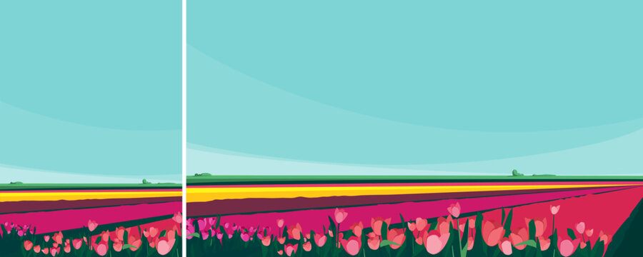 Fields with tulips of different colors. Nature landscape in different formats.