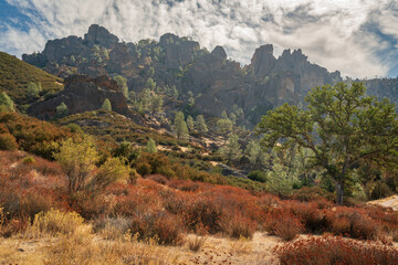 The Jagged Landscape of Pinnacles National Park