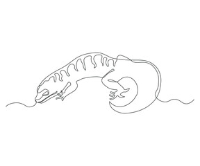 abstract Lizard, Gecko Continuous One Line Drawing