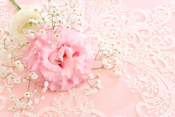 Fototapeta na wymiar Close up image of delicate pink flowers over pastel background