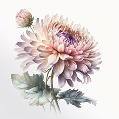 Watercolor chrysanthemums illustration.  Greeting card, invitation template. Ai generated