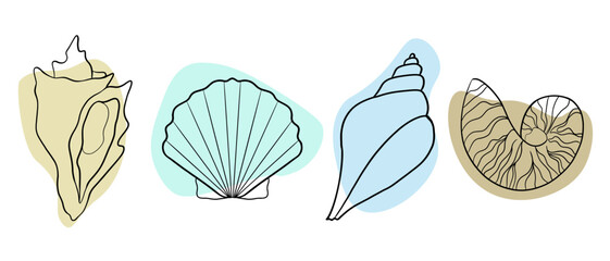 Vector set of seashells contour line art. Simple illustration, silhouette, isolated on white background.