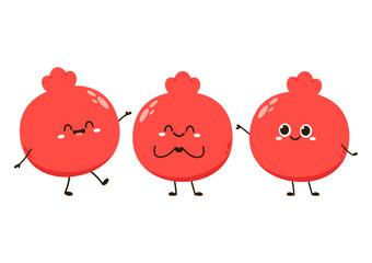 Pomegranate fruit in continuous cartoon vector style. Pomegranate contour with color. Flat isolated illustration. Pomegranate fruit mascot.