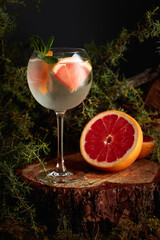 Gin and Tonic cocktail with grapefruit and mint.