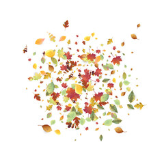 Leaves Falling Autumn Foliage Chaotic Leaf Flying