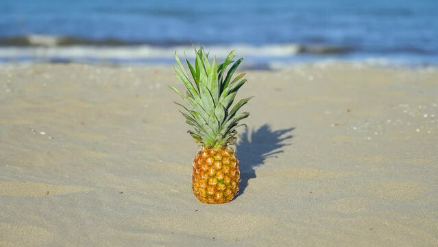 Pineapple on the sand in the sunny day at the seaside