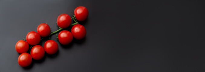 Cherry tomatoes and rosemary on a black background. Fresh tomato branch. Vegetarian food.
