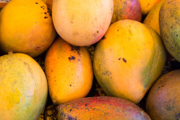 papaya fruit in the market