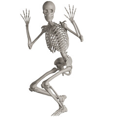 skeleton posing 3d render illustration with transparent background